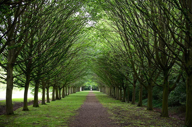 Anglesey Abbey