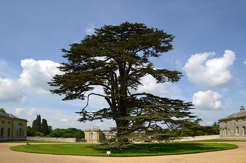 Woburn Abbey