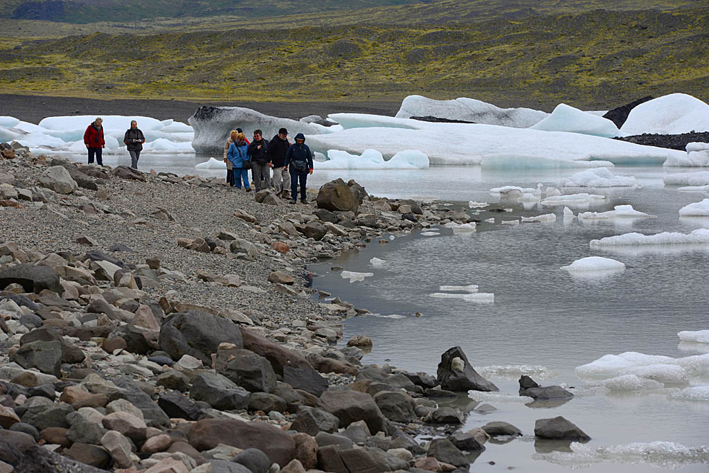 Fjallsrln